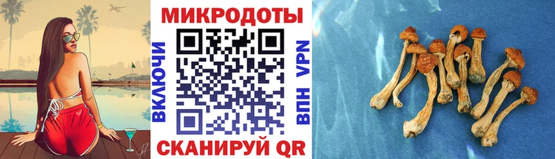 цены наркотик Ноябрьск blacksprut сайт Галлюциногенные грибы Psilocybe