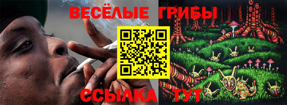 Ноябрьск  Псилоцибиновые грибы мухоморы  Вход с VPN 