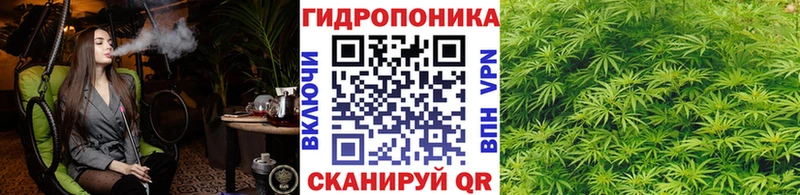 сайты даркнета как зайти  где можно купить наркотик  OMG   Ноябрьск  Марихуана план 