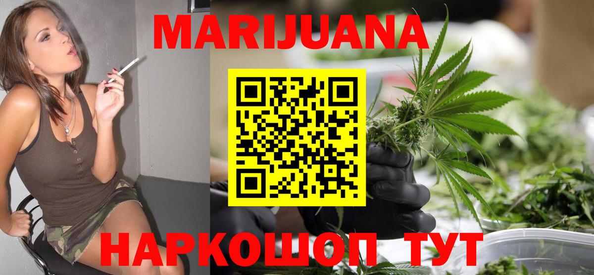Каннабис сатива Ноябрьск